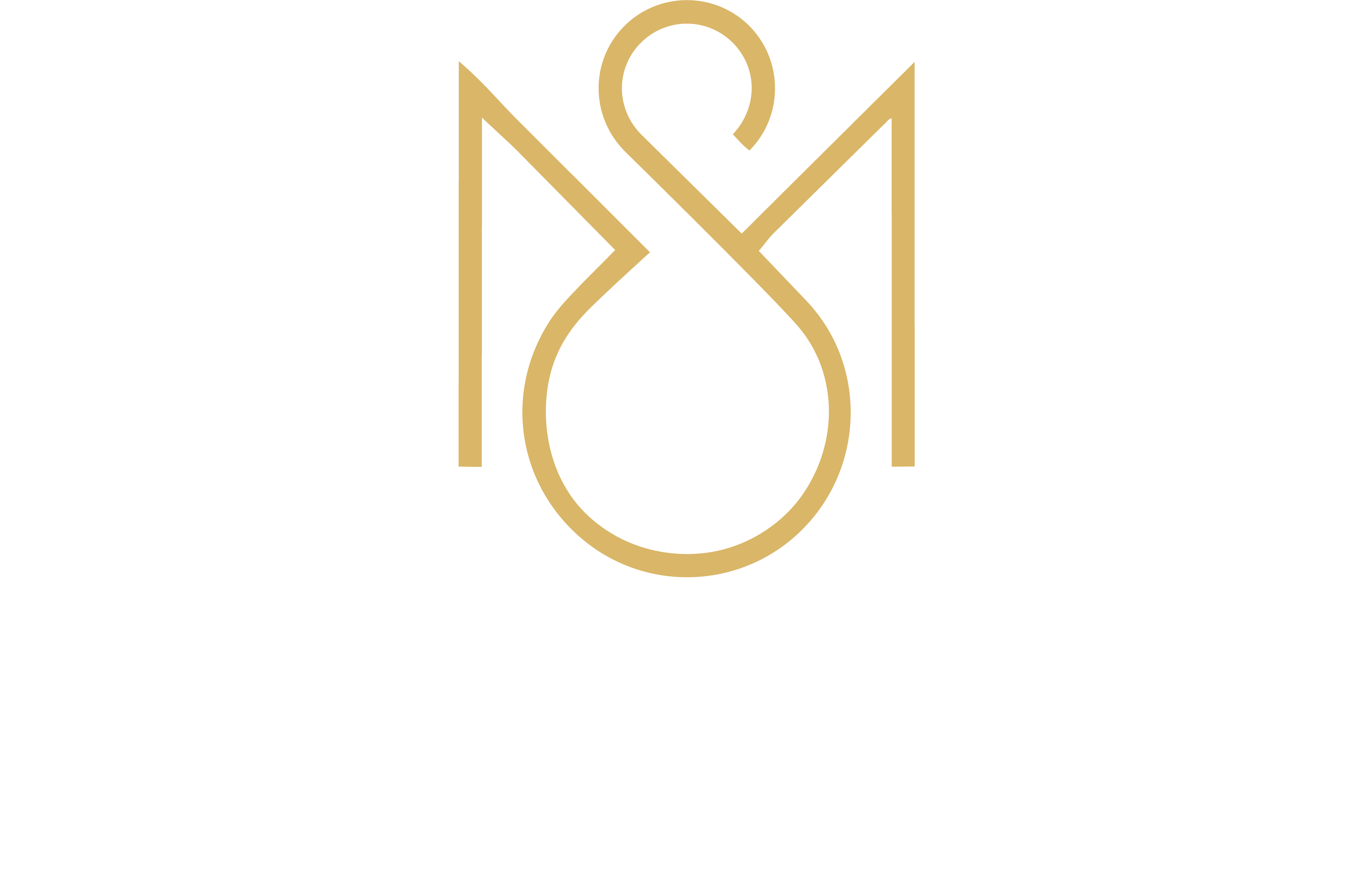 Macz Wedding Stories